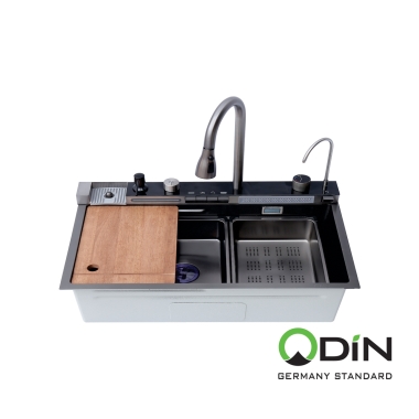 Chậu rửa chén ODIN-12P