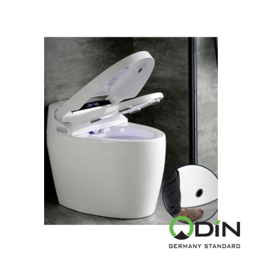 Bồn cầu sứ cao cấp ODIN - 999D