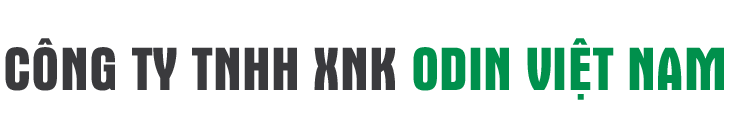CTY TNHH XNK ODIN VIỆT NAM